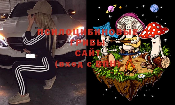 шишки Абдулино