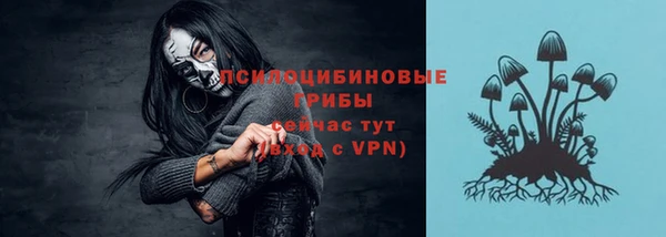 шишки Абдулино