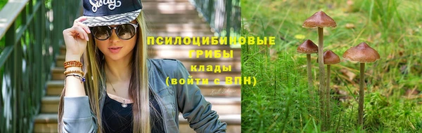 марки lsd Пролетарск