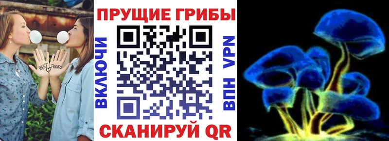 Галлюциногенные грибы мицелий  как найти   Никольское 